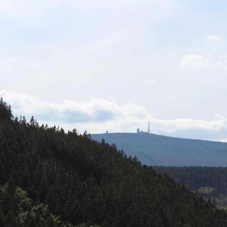 Classic Holiday Home In The Harz Mountains Ilsenburg Exteriör bild