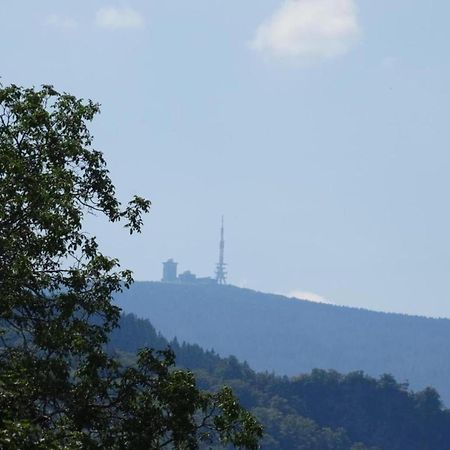 Classic Holiday Home In The Harz Mountains Ilsenburg Exteriör bild