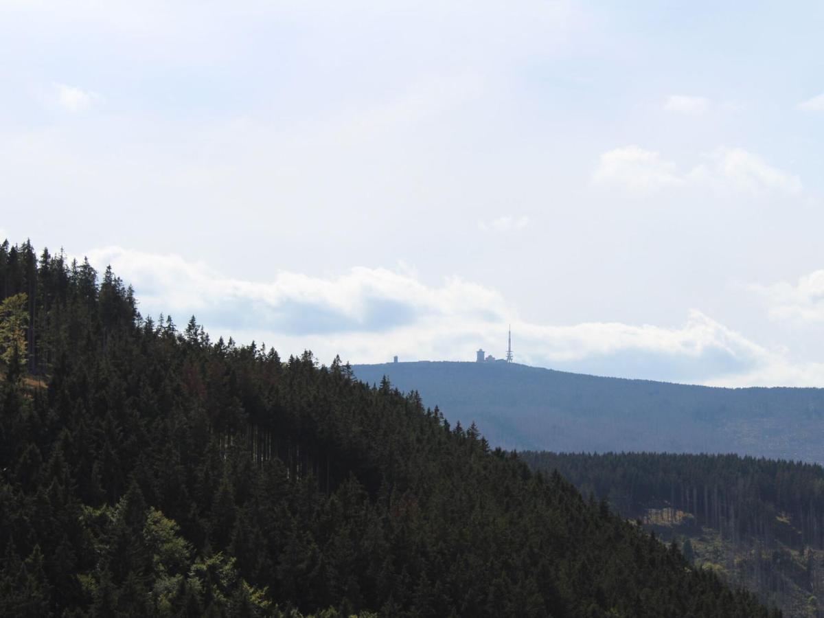 Classic Holiday Home In The Harz Mountains Ilsenburg Exteriör bild